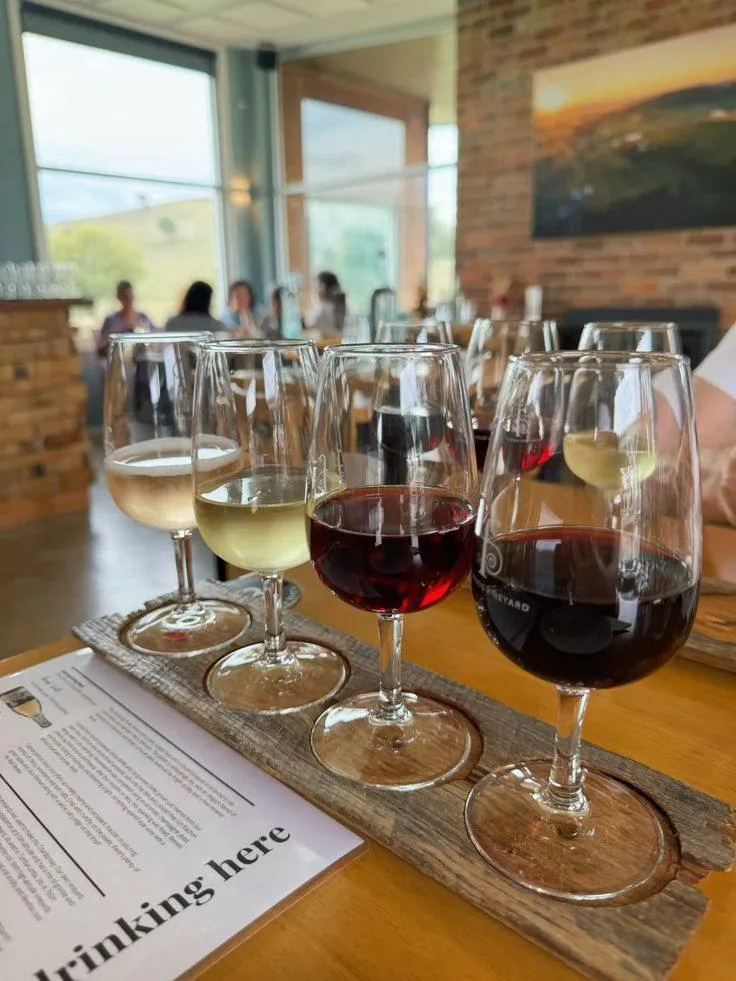 24. Wine Tasting Experience